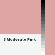 Color chip: 5 Moderate Pink