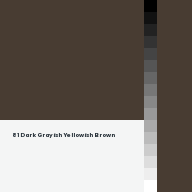 Color chip: 81 Dark Grayish Yellowish Brown