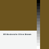 Color chip: 95 Moderate Olive Brown
