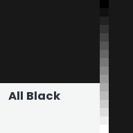 Color chip: All Black