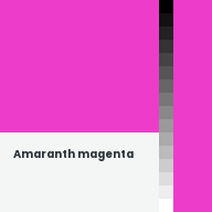 Color chip: Amaranth magenta