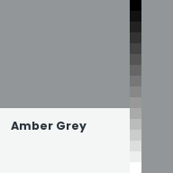 Color chip: Amber Grey
