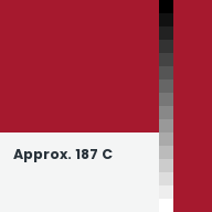 Color chip: Approx. 187 C