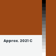 Color chip: Approx. 2021 C