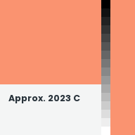 Color chip: Approx. 2023 C