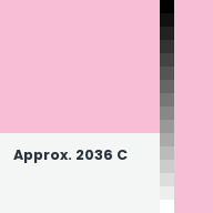 Color chip: Approx. 2036 C