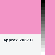 Color chip: Approx. 2037 C