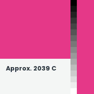 Color chip: Approx. 2039 C