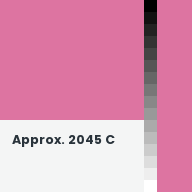 Color chip: Approx. 2045 C