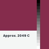 Color chip: Approx. 2049 C
