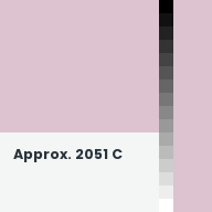 Color chip: Approx. 2051 C