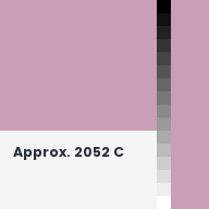 Color chip: Approx. 2052 C