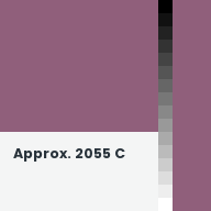 Color chip: Approx. 2055 C