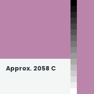 Color chip: Approx. 2058 C