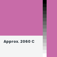 Color chip: Approx. 2060 C