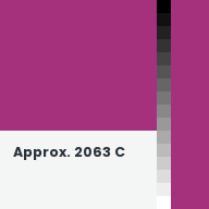 Color chip: Approx. 2063 C