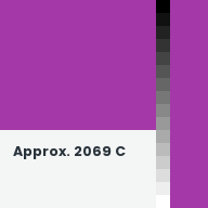 Color chip: Approx. 2069 C