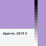 Color chip: Approx. 2073 C