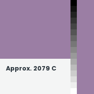 Color chip: Approx. 2079 C