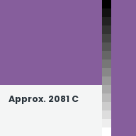 Color chip: Approx. 2081 C