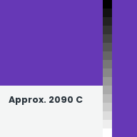 Color chip: Approx. 2090 C
