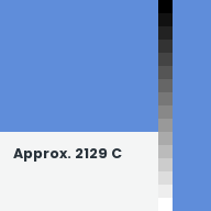 Color chip: Approx. 2129 C