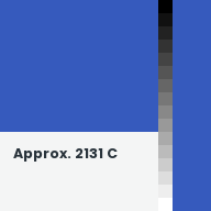 Color chip: Approx. 2131 C