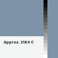 Color chip: Approx. 2164 C