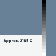 Color chip: Approx. 2165 C