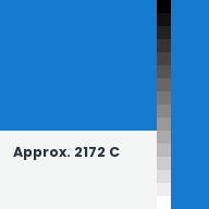 Color chip: Approx. 2172 C