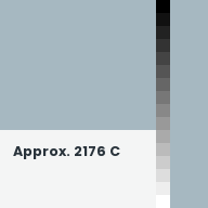 Color chip: Approx. 2176 C