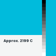 Color chip: Approx. 2199 C