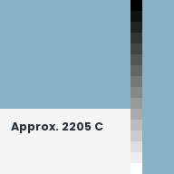 Color chip: Approx. 2205 C
