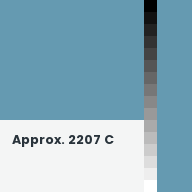 Color chip: Approx. 2207 C