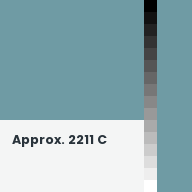 Color chip: Approx. 2211 C