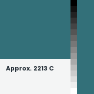 Color chip: Approx. 2213 C