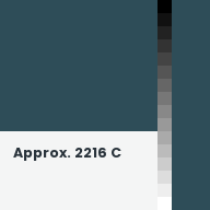 Color chip: Approx. 2216 C