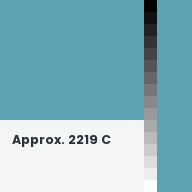 Color chip: Approx. 2219 C