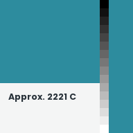 Color chip: Approx. 2221 C
