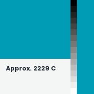 Color chip: Approx. 2229 C