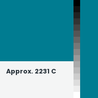 Color chip: Approx. 2231 C