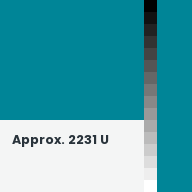 Color chip: Approx. 2231 U
