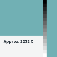 Color chip: Approx. 2232 C