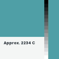 Color chip: Approx. 2234 C