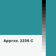 Color chip: Approx. 2236 C