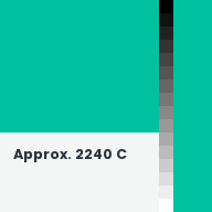 Color chip: Approx. 2240 C