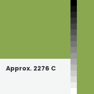Color chip: Approx. 2276 C