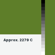 Color chip: Approx. 2279 C