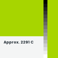 Color chip: Approx. 2291 C