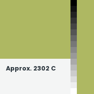Color chip: Approx. 2302 C